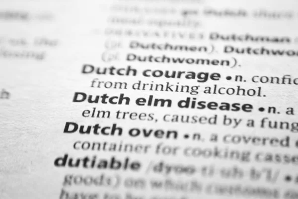 Word or phrase Dutch elm disease in a dictionary.