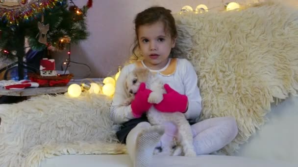 可爱的小女孩在家里和她的比雄小狗玩耍的镜头 — 图库视频影像