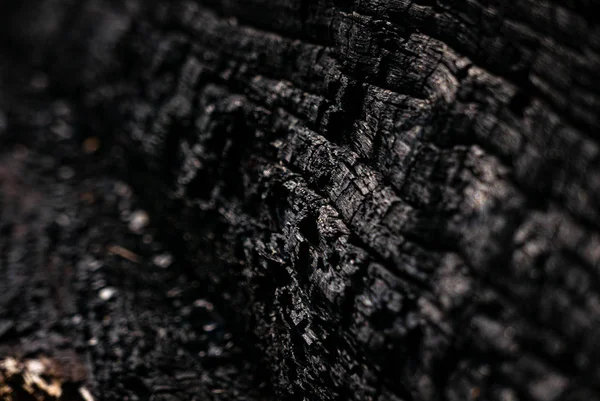 Burnt tree texture shoot after fire in a wood — Stock Photo, Image