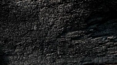 Eski ağaç kabuğu dokusunun yakın çekim görüntüleri