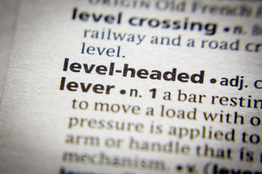 Sözlükte düzey lisi olan sözcük veya tümcecik.