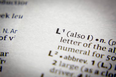 Sözlükteki sözcük veya l tümceciği.