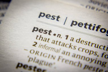 Sözlükte Kelime veya ifade Pest.