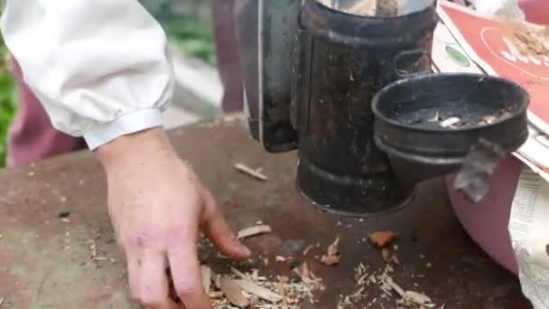 喫煙花粉媒介者と養蜂家の映像は — ストック動画