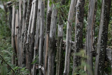 Ahşap çubuklar ile yapılan bir contry Çit