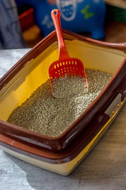 Kedi kumu dolu kırmızı plastik kepçe.