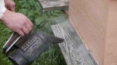 Sigara içen tozluklu arı yetiştiricisinin görüntüleri