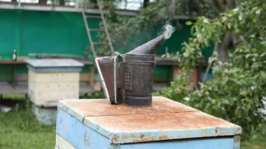 Tozlaştırıcının ahşap arı kovanındaki yakın çekim görüntüleri.
