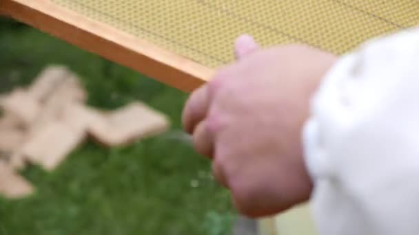 Arı Kovanından Ahşap Çerçevedeki Bal Peteğinin Görüntüleri — Stok video