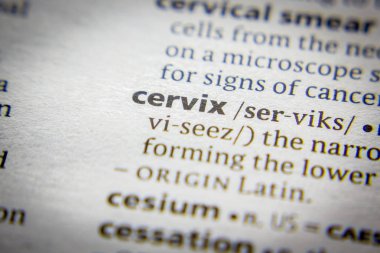 Sözlükte Kelime veya kelime Serviks.