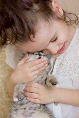 Küçük kız sevimli gri bir kedi yavrusu besliyor.