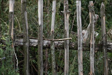 Ahşap çubuklar ile yapılan bir contry Çit