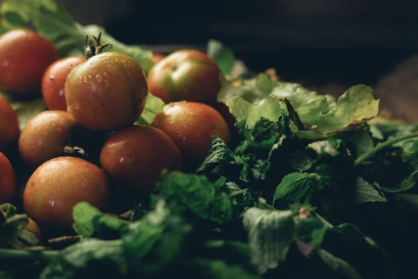 블랙 스튜디오에 있는 아름다운 체리 토마토와 녹색 상추 — 스톡 사진