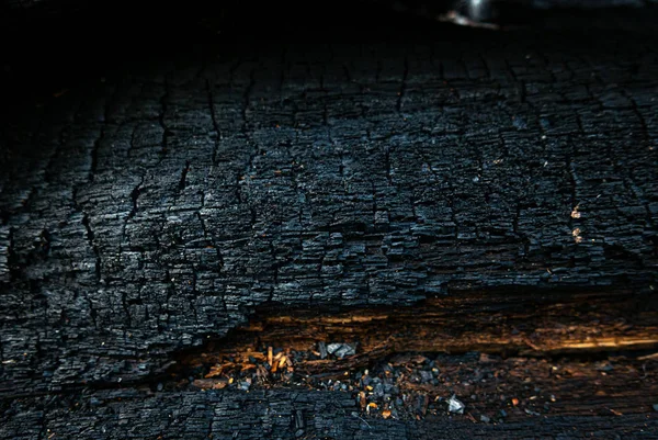 Textura de árvore queimada atirar após o fogo em uma madeira — Fotografia de Stock