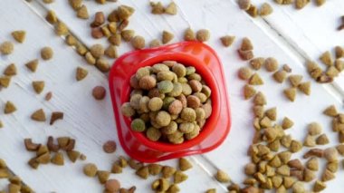 Evcil hayvan maması yığınının yakın çekim görüntüleri.