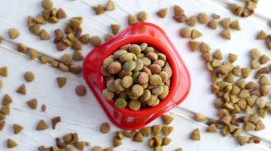 Evcil hayvan maması yığınının yakın çekim görüntüleri.