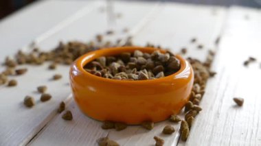 Evcil hayvan maması yığınının yakın çekim görüntüleri.