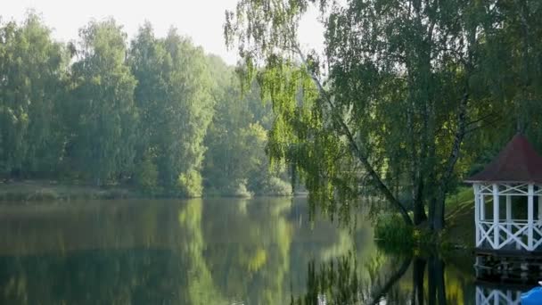 Γραφικό Υλικό Του Ποταμού Στο Πάρκο Για Φυσικό Υπόβαθρο — Αρχείο Βίντεο