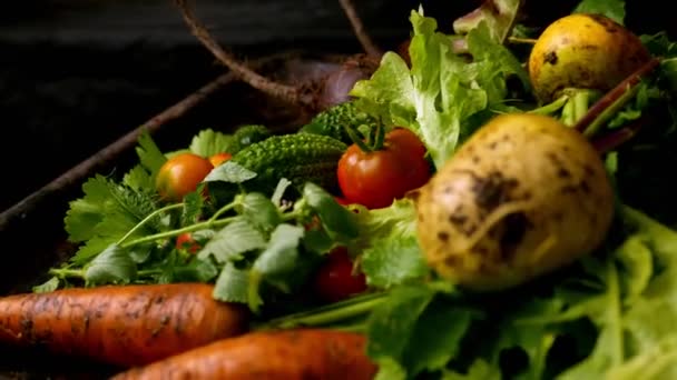 Close Footage Various Ripe Vegetables Rustic Tabletop — Stock Video