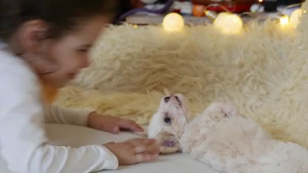 Close Beelden Van Kleine Meisje Besteedt Tijd Met Haar Bichon — Stockvideo