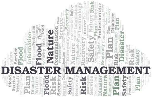 Disaster Management Typography Vector Word Cloud Wordcloud Collage Made Text — Stock Vector
