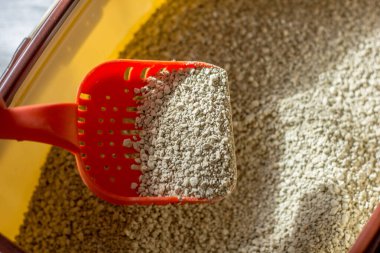 Kedi işçisi - kırmızı plastik kepçeli bir kutuda çöp.