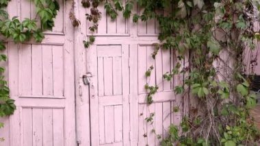 Pembe kapı ahıra ya da yeşil yapraklı klasik eve