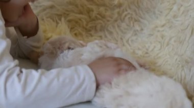 Küçük kızın, arka planda Noel süslemeleri olan bisküvi yavrusuyla vakit geçirdiği yakın çekim görüntüleri. 