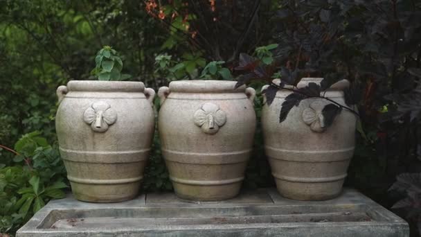 Drie mooie klei aardewerk vazen op de herfsttuin — Stockvideo