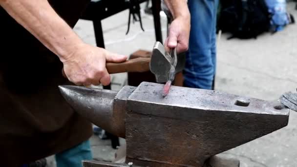 Blacksmith Forging Metal Detail Anvil — Stock Video