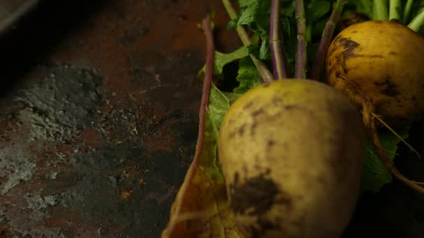 Turnip Haulm Black Rustic Background — Stock Video