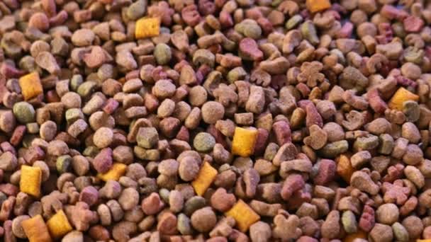 Colorful Dry Pet Food — Stock Video