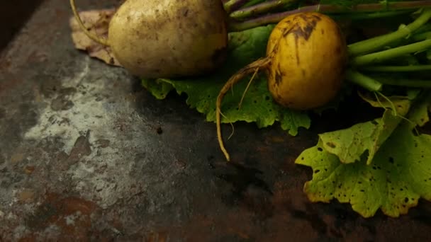 Rüben Mit Haulm Auf Schwarzem Rustikalem Hintergrund — Stockvideo