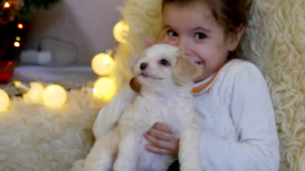 Material Primer Plano Niña Pasando Tiempo Con Perrito Bichon Con — Vídeo de stock