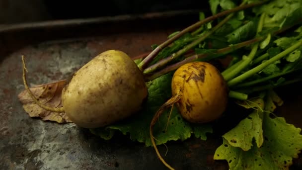 Turnip Haulm Fundal Rustic Negru — Videoclip de stoc