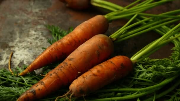 Plans Rapprochés Carottes Mûres Allongées Sur Une Table Rustique — Video