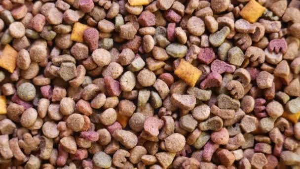 Colorful Dry Pet Food — Stock Video