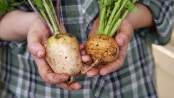 Čerstvé Zralé Tuříny Rukou Farmáře — Stock video