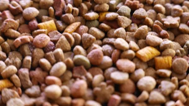 Colorful Dry Pet Food — Stock Video