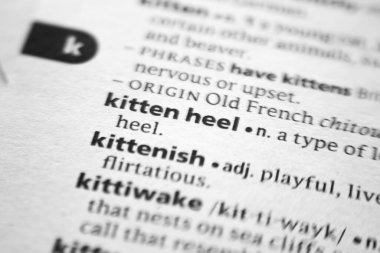 Sözlükte Kedi Topuğu sözlüğü