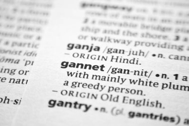 Sözlükteki Gannet sözcüğü veya ifadesi