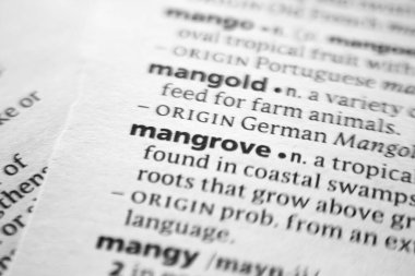 Sözlükte Mangrove sözcüğü veya cümlesi