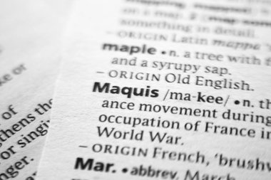 Sözlükte Maquis sözcüğü veya cümlesi