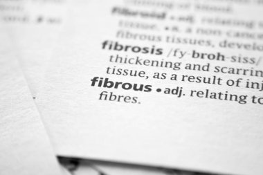 Sözlükte Fibrous sözlüğü ya da cümlesi