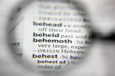 Sözlükteki kelime ya da cümle devi.