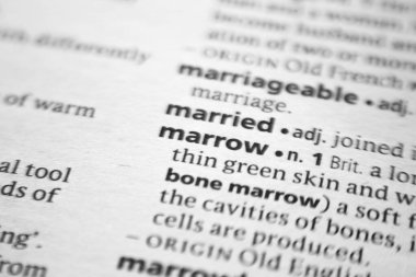 Sözlükteki Marrow sözcüğü veya ifadesi