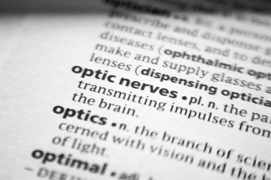 Sözlükteki Optik sinirler
