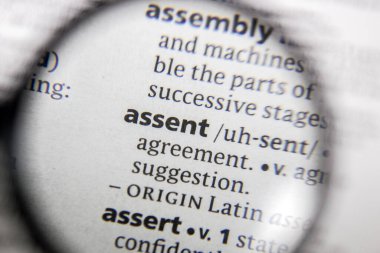 Sözlük kitabındaki sözcük ya da cümle onayı.