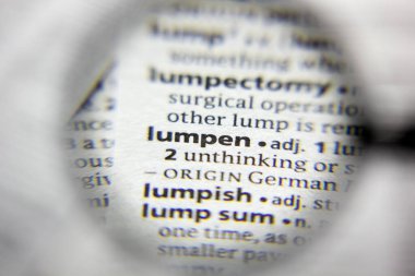 Sözlükte Lumpen sözcüğü veya ifadesi
