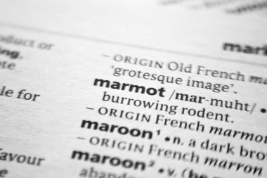 Sözlükte Marmot sözcüğü veya cümlesi